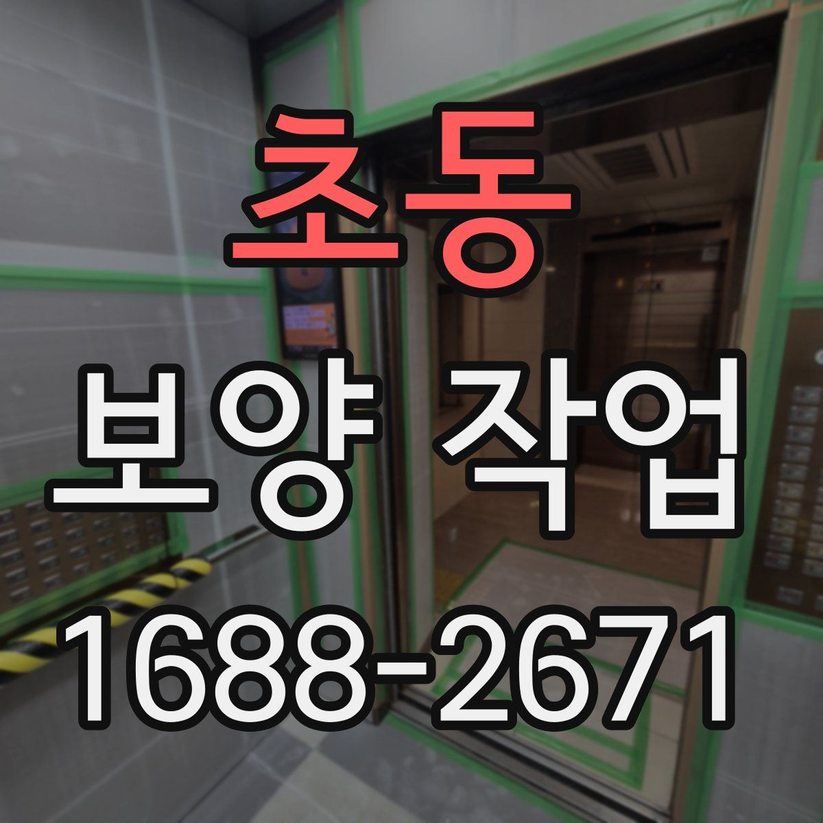초동 보양 작업
