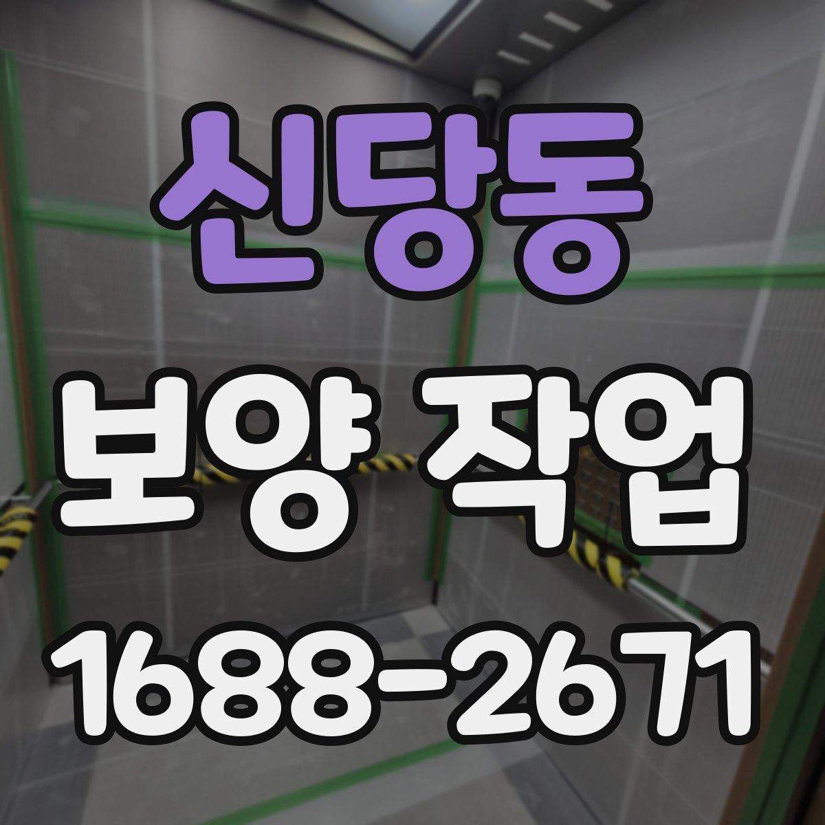 신당동 보양 작업