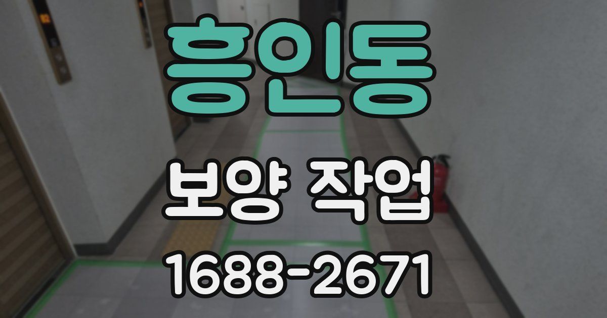 흥인동 보양 작업