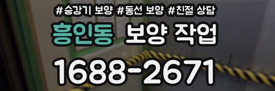 흥인동 보양 작업