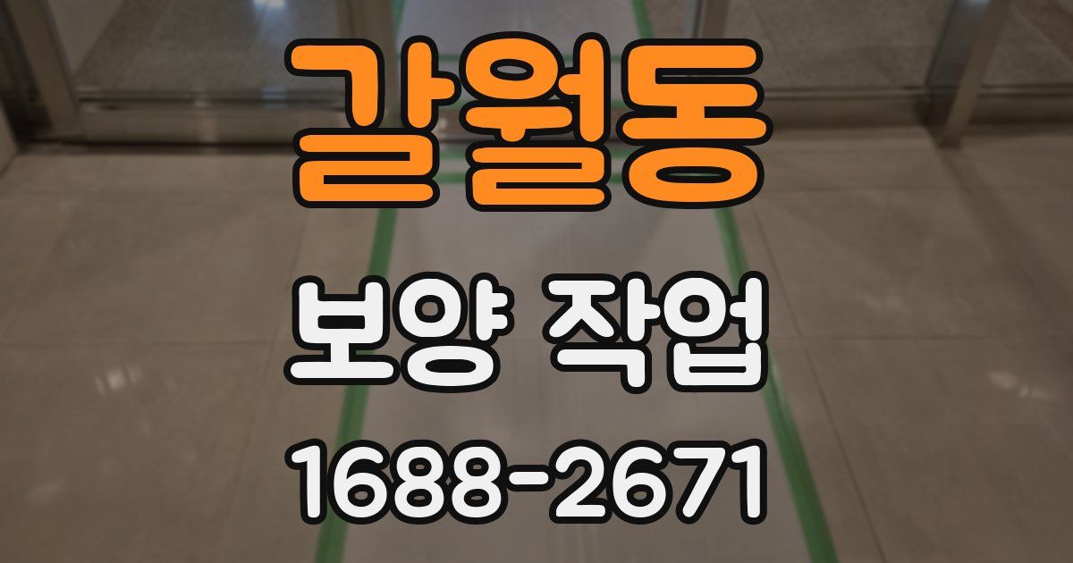 갈월동 보양 작업
