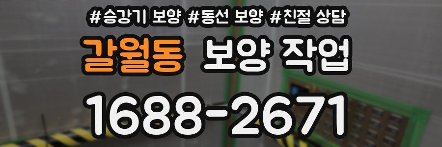 갈월동 보양 작업