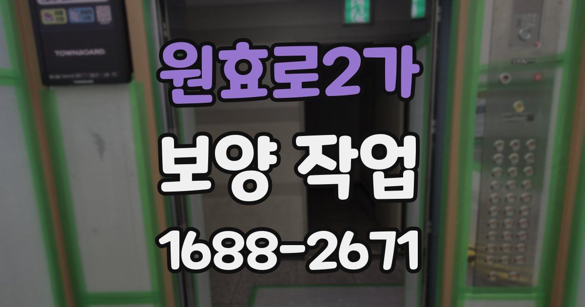 원효로2가 보양 작업