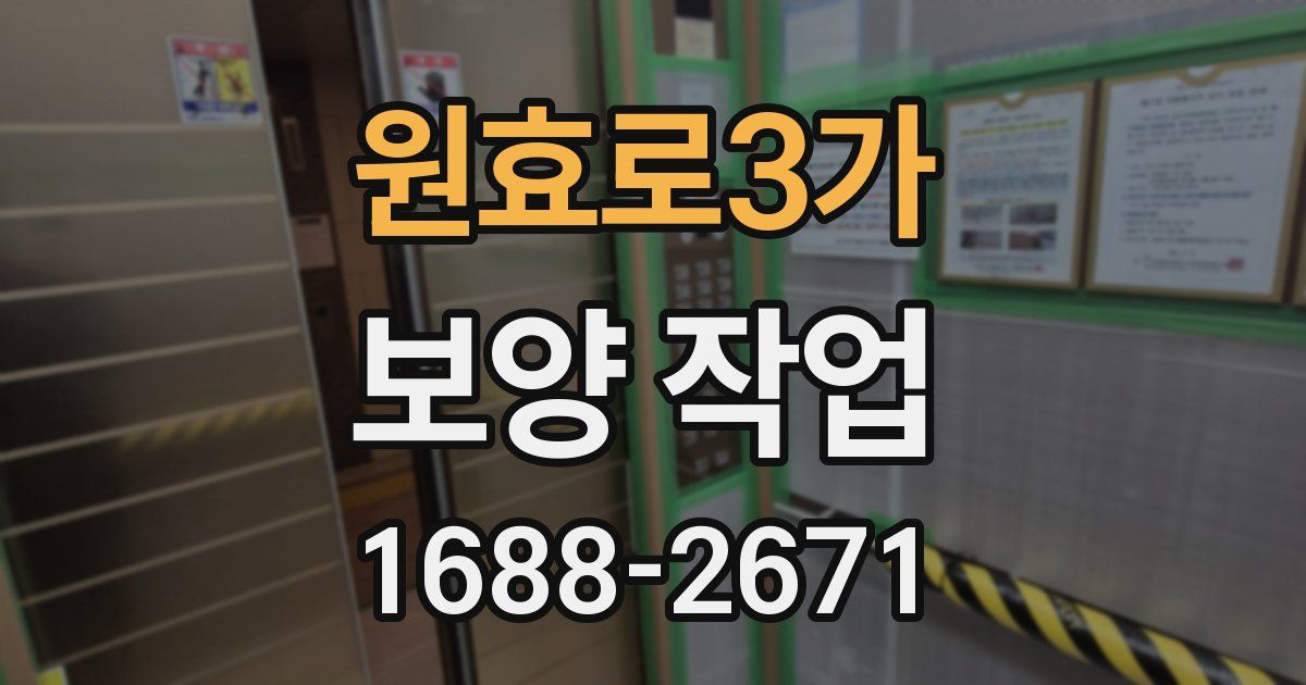 원효로3가 보양 작업
