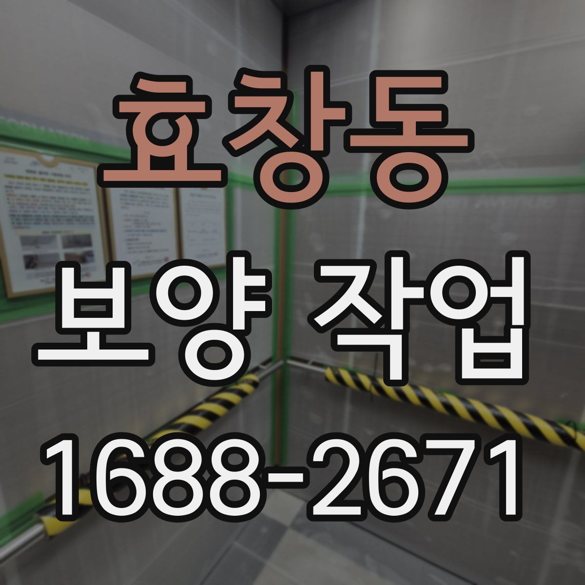 효창동 보양 작업