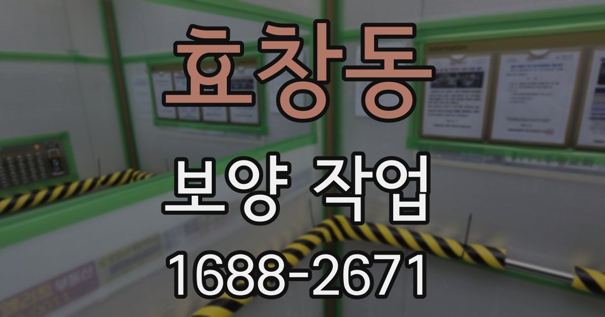 효창동 보양 작업
