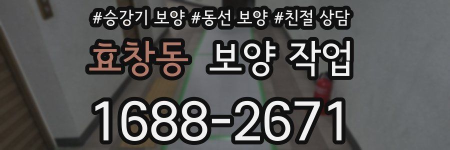효창동 보양 작업