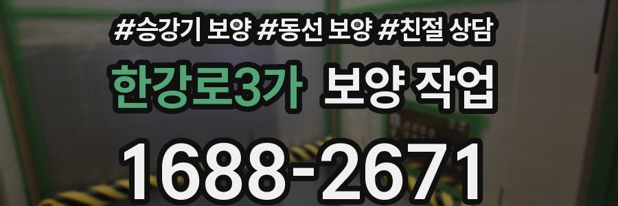 한강로3가 보양 작업