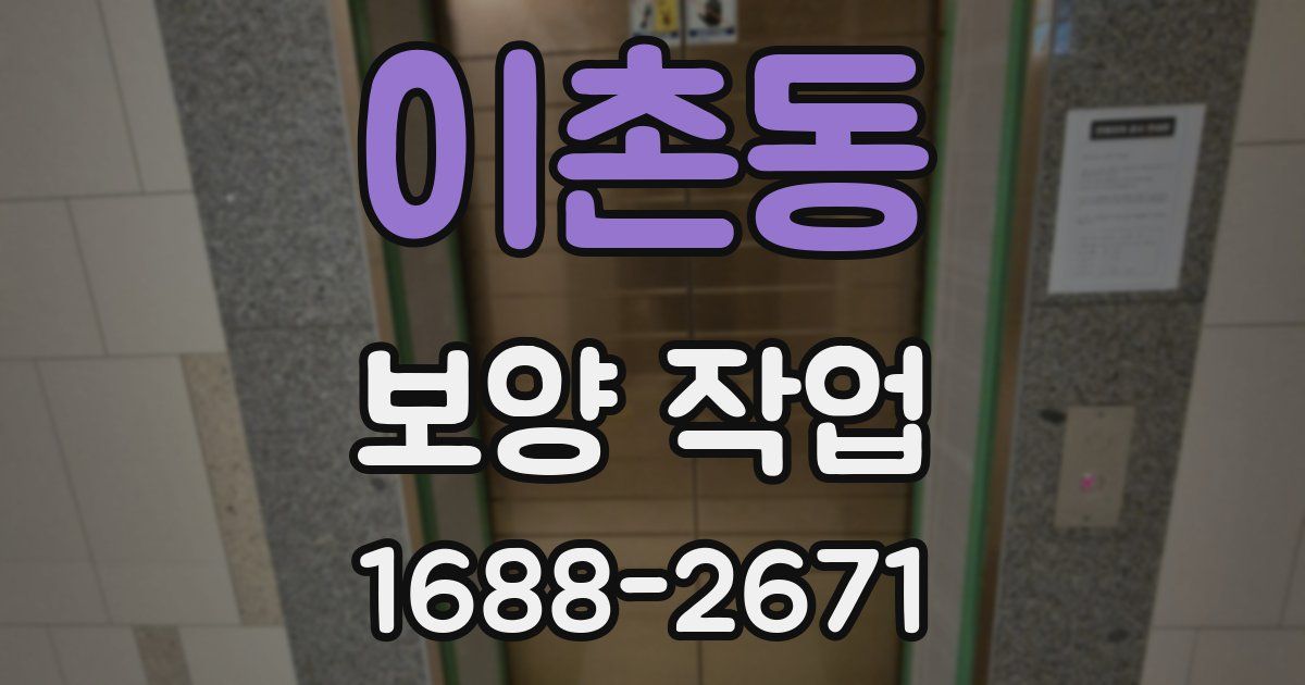 이촌동 보양 작업