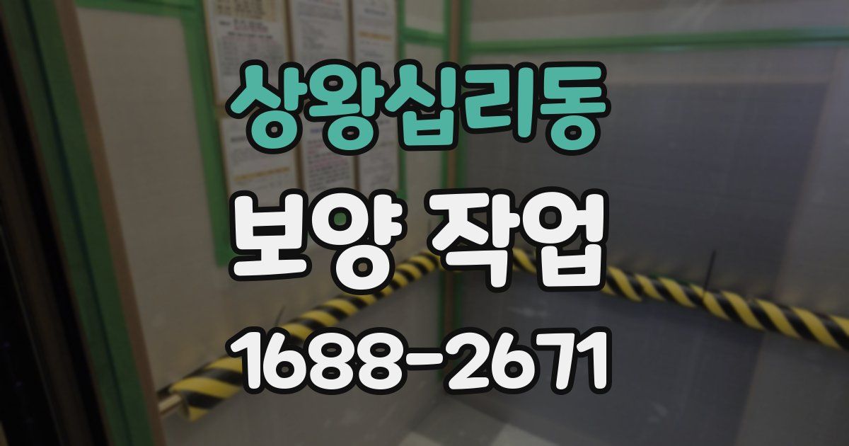 상왕십리동 보양 작업