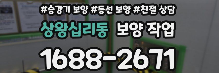 상왕십리동 보양 작업