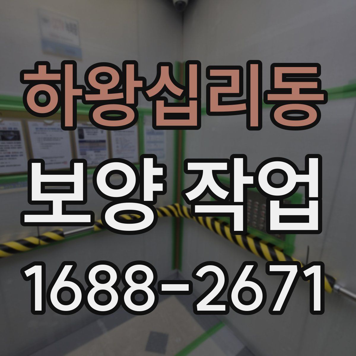 하왕십리동 보양 작업