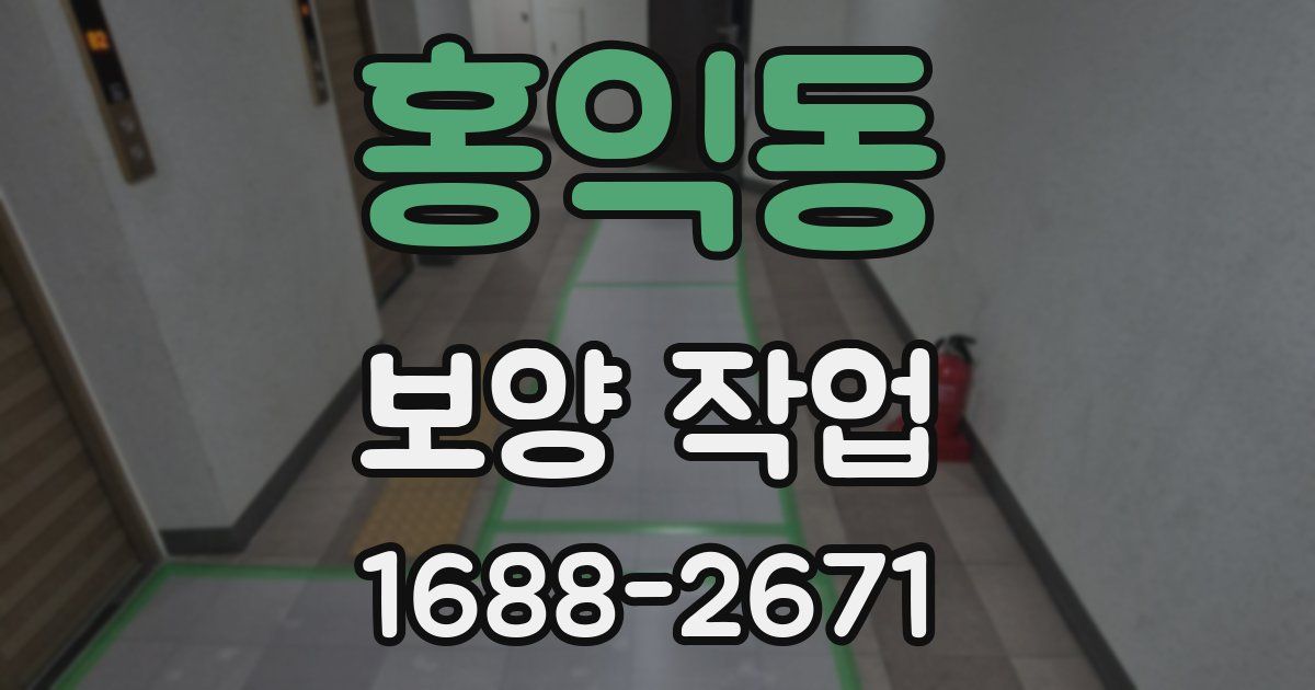 홍익동 보양 작업