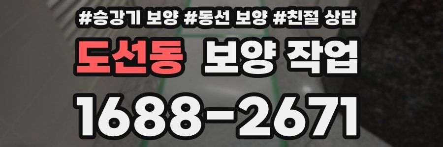 도선동 보양 작업