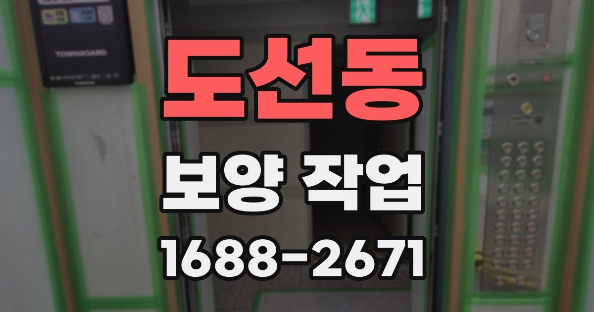 도선동 보양 작업