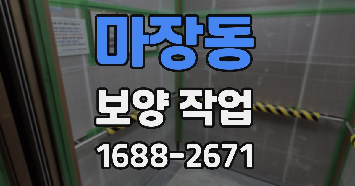 마장동 보양 작업