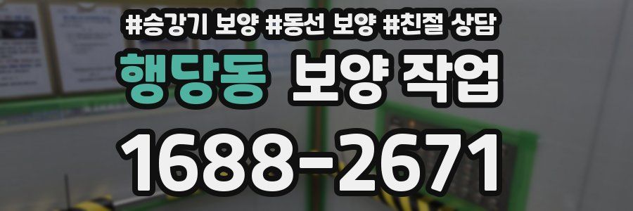 행당동 보양 작업