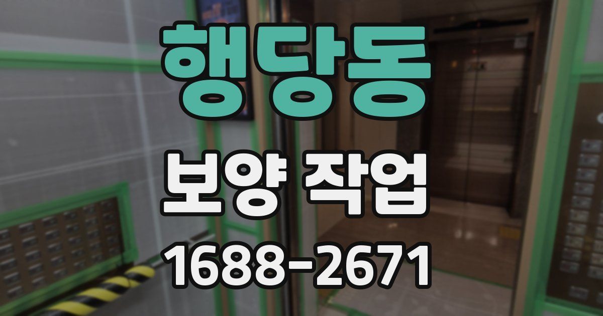 행당동 보양 작업