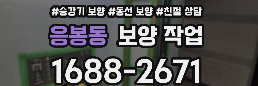 응봉동 보양 작업