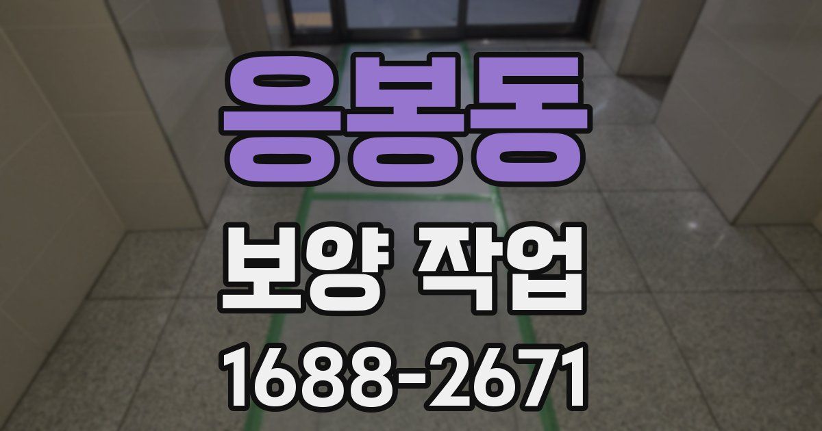 응봉동 보양 작업