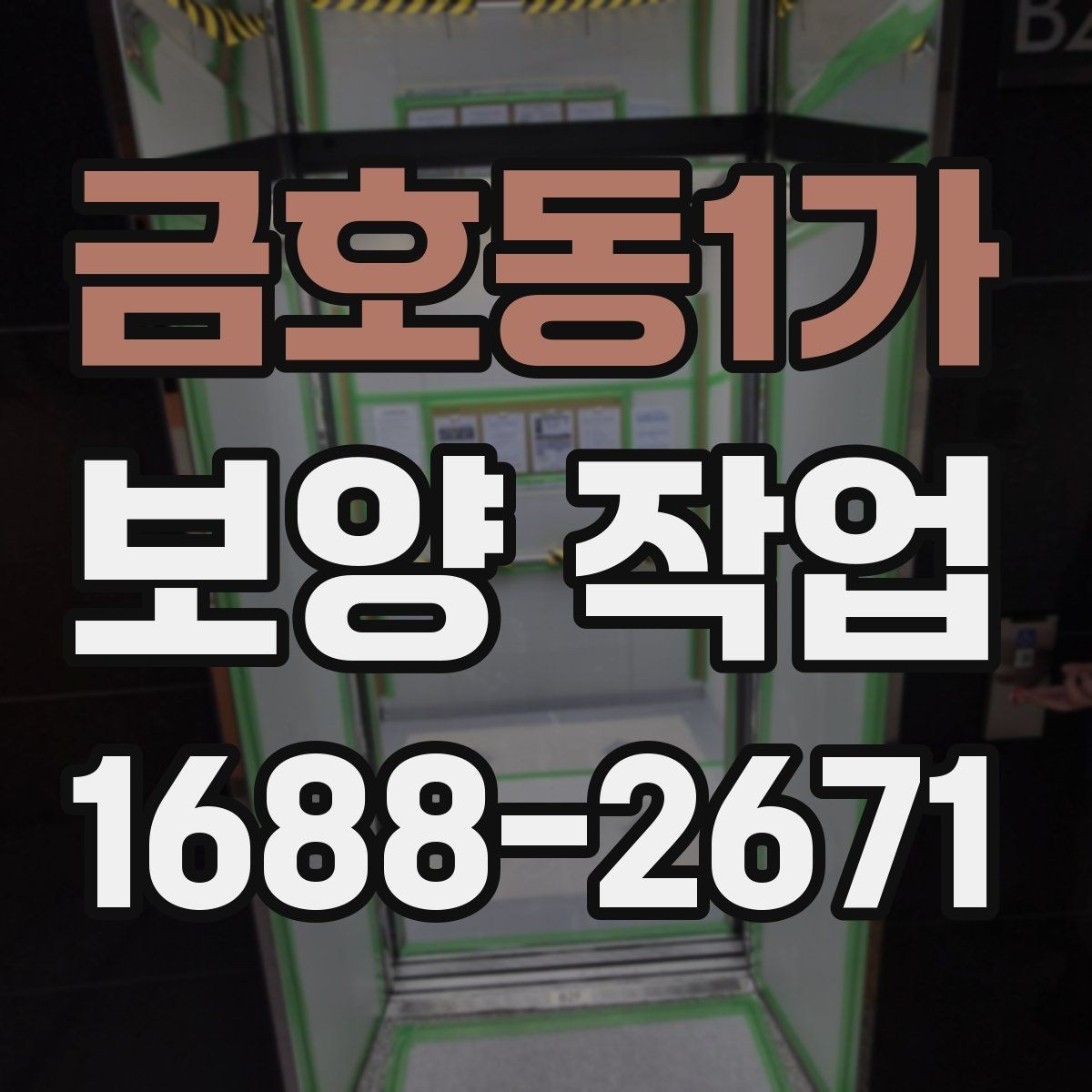 금호동1가 보양 작업 비용 산정 방식과 참고 사항
