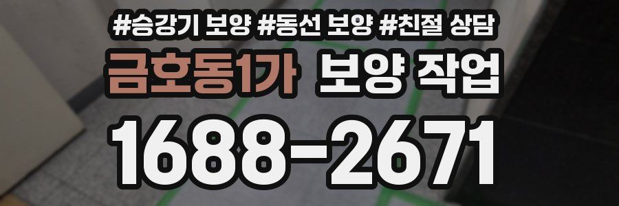 금호동1가 보양 작업