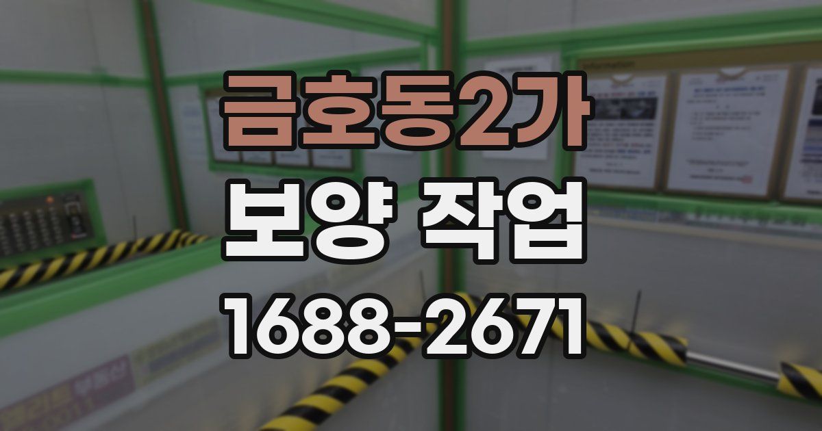 금호동2가 보양 작업