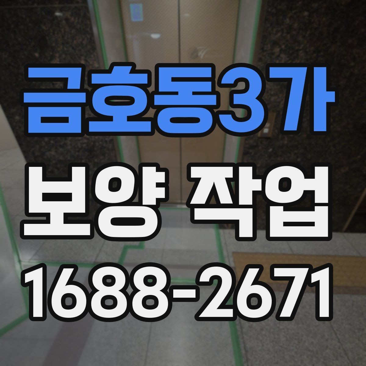 금호동3가 보양 작업 과정별 핵심 확인 사항