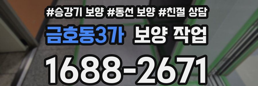 금호동3가 보양 작업
