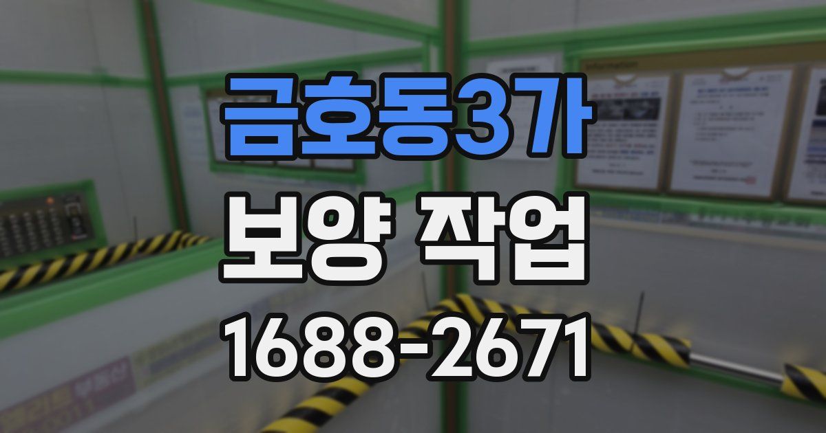 금호동3가 보양 작업