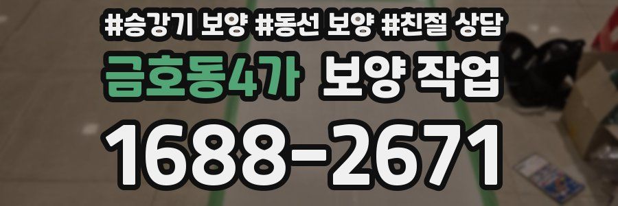 금호동4가 보양 작업