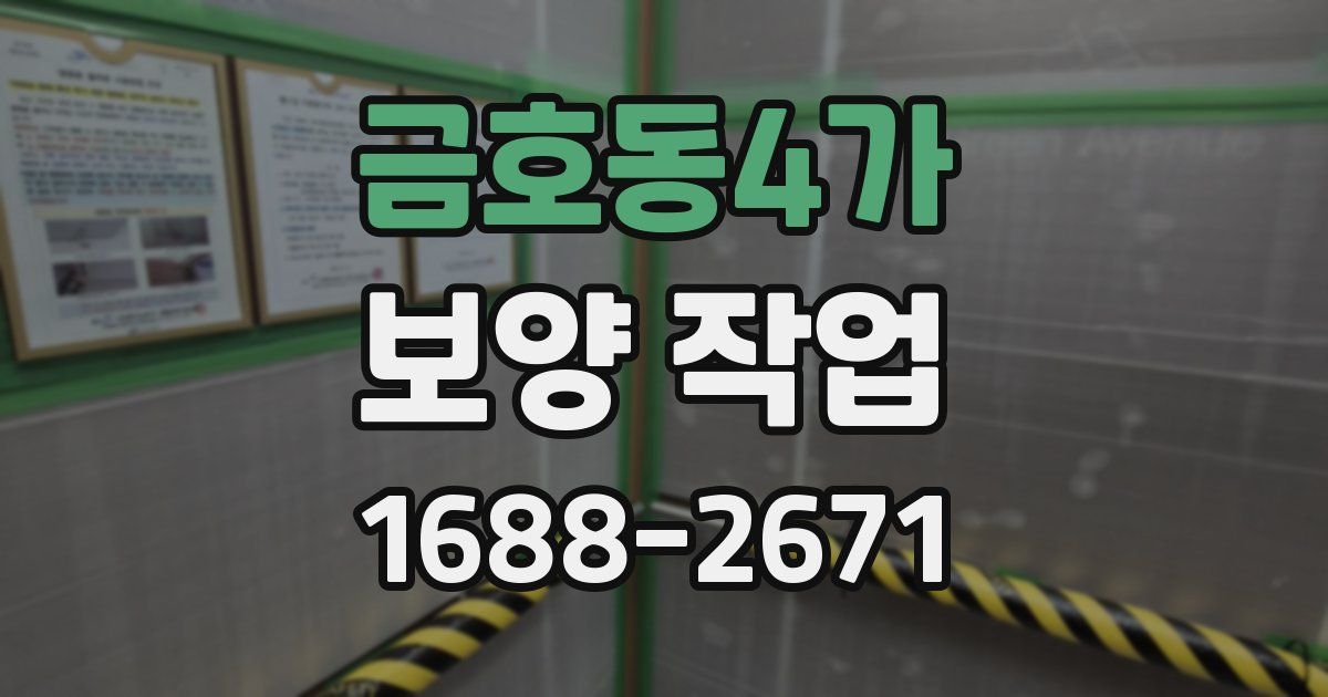 금호동4가 보양 작업