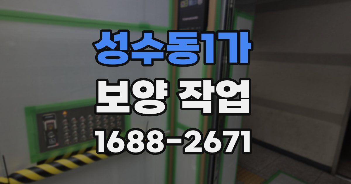 성수동1가 보양 작업