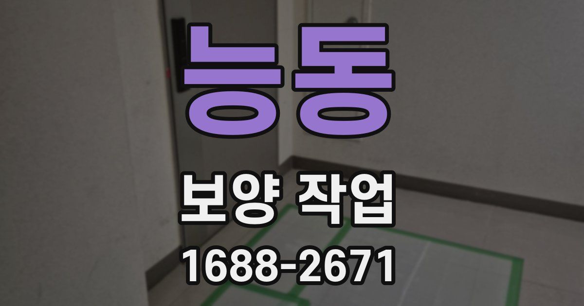 능동 보양 작업