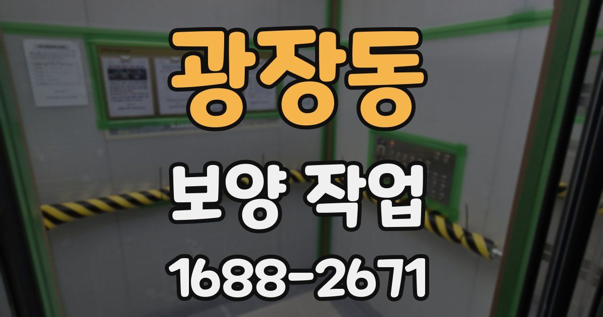 광장동 보양 작업