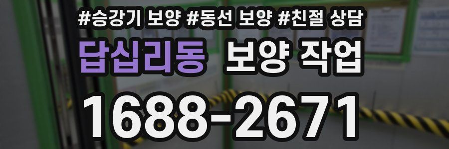 답십리동 보양 작업