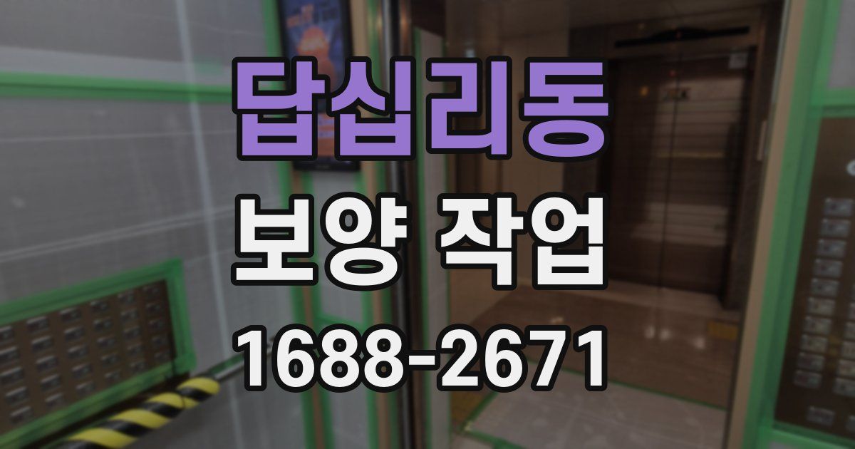 답십리동 보양 작업