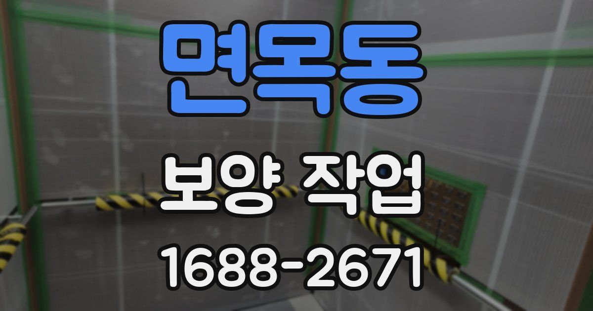 면목동 보양 작업