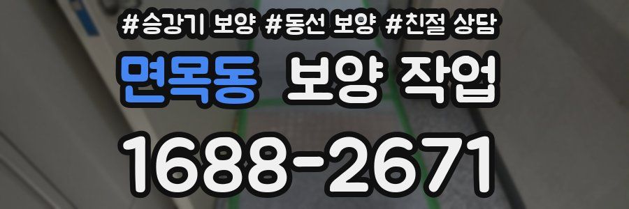면목동 보양 작업