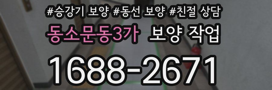 동소문동3가 보양 작업