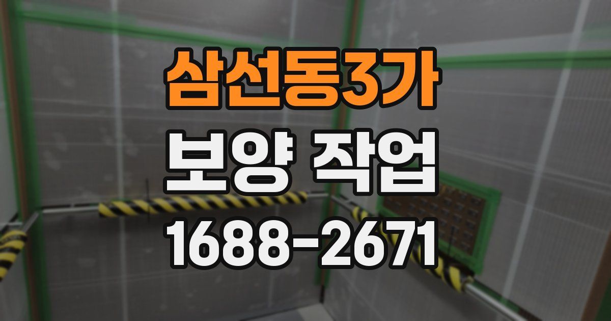 삼선동3가 보양 작업
