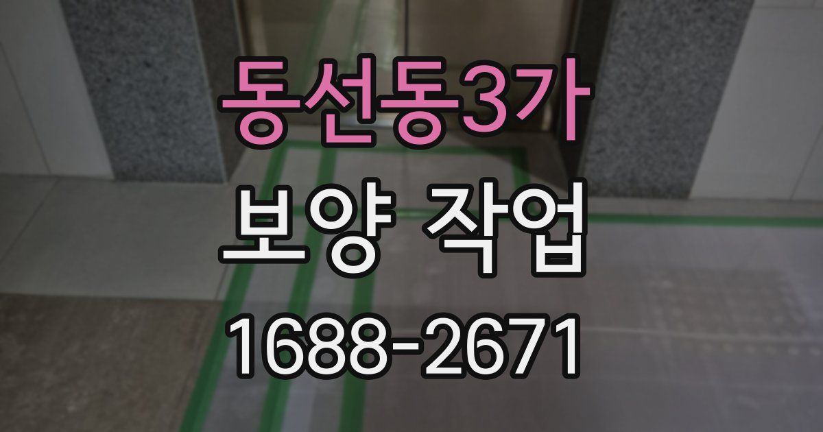 동선동3가 보양 작업