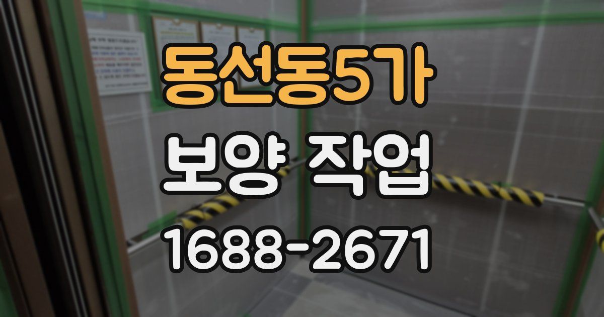 동선동5가 보양 작업