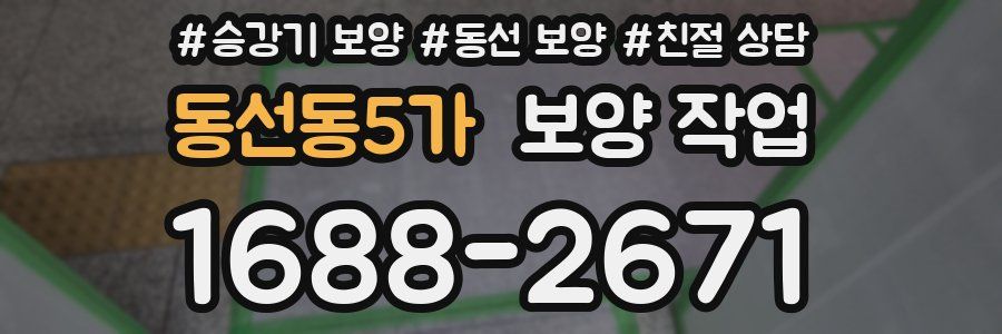 동선동5가 보양 작업