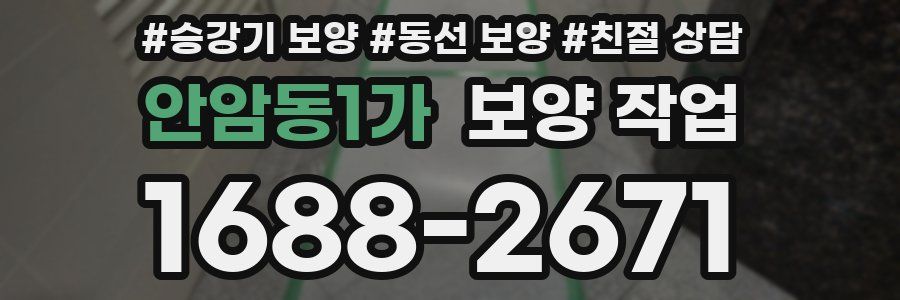 안암동1가 보양 작업