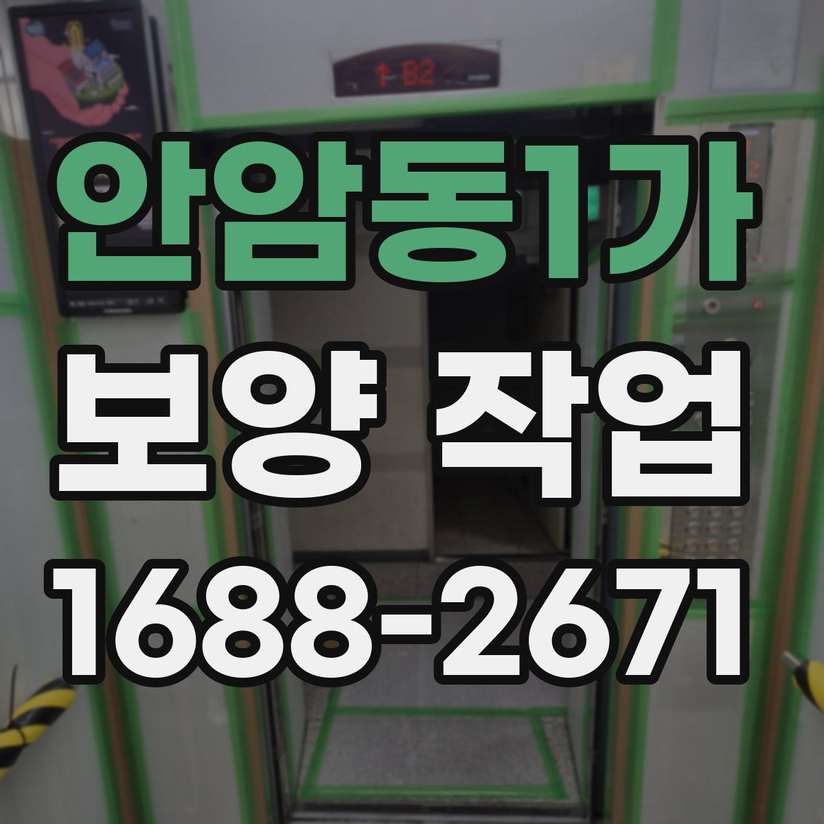안암동1가 보양 작업