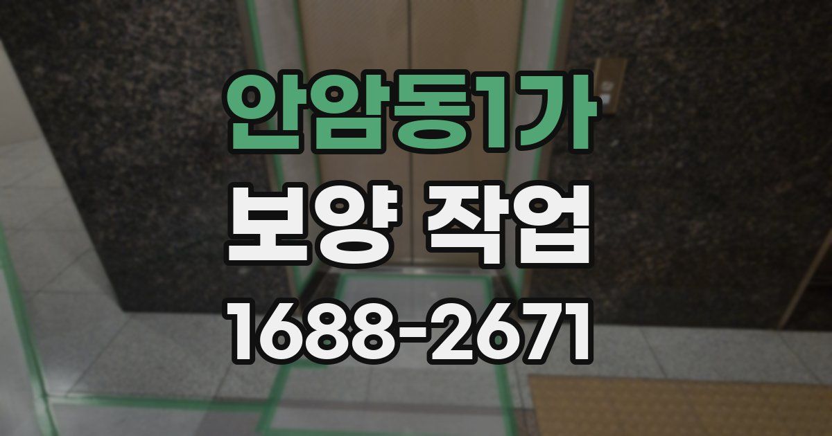 안암동1가 보양 작업