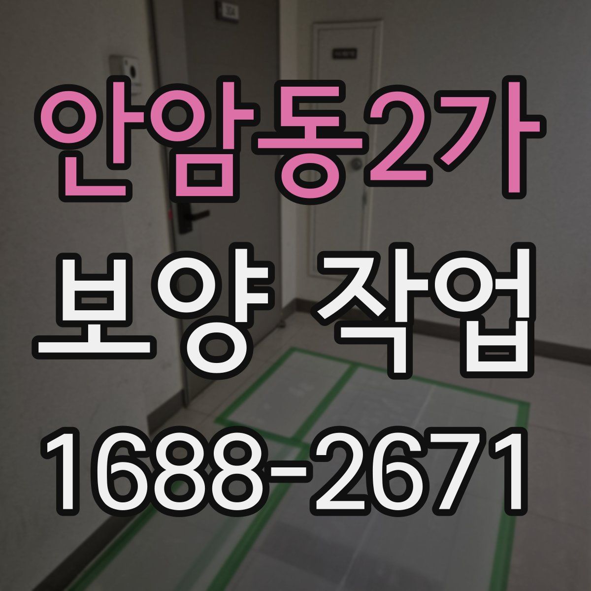 안암동2가 보양 작업