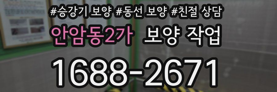 안암동2가 보양 작업