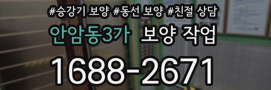 안암동3가 보양 작업